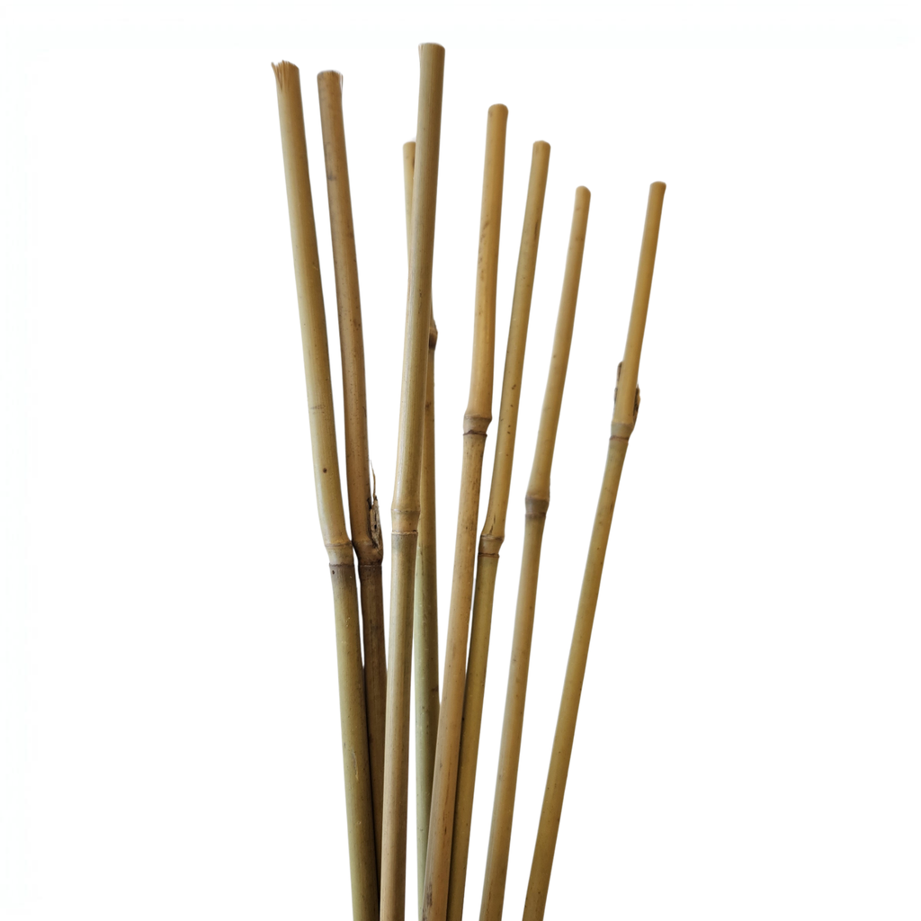 Natural Bamboo Plant Stakes