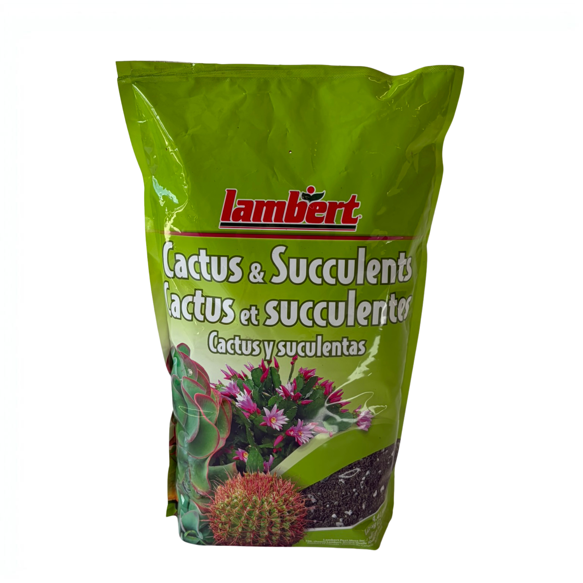 Lambert's Cactus & Succulent Potting Mix | 4qt | Fast-Draining Soil Blend