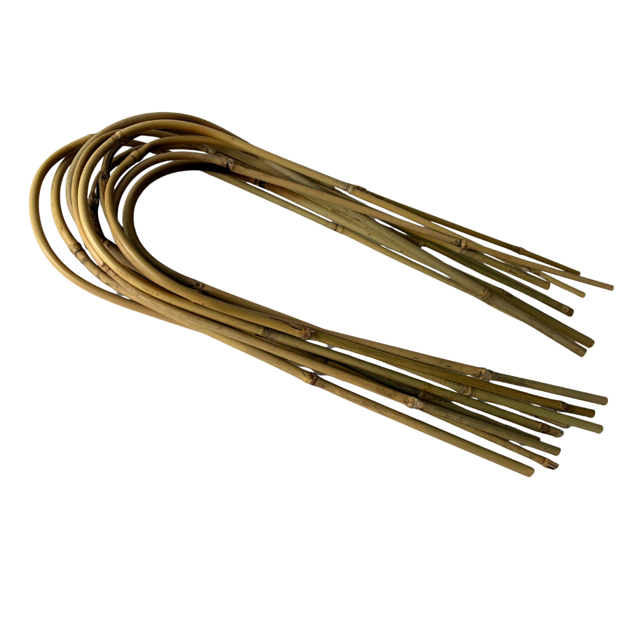 Bamboo U-Trellis | 18" Natural Plant Support
