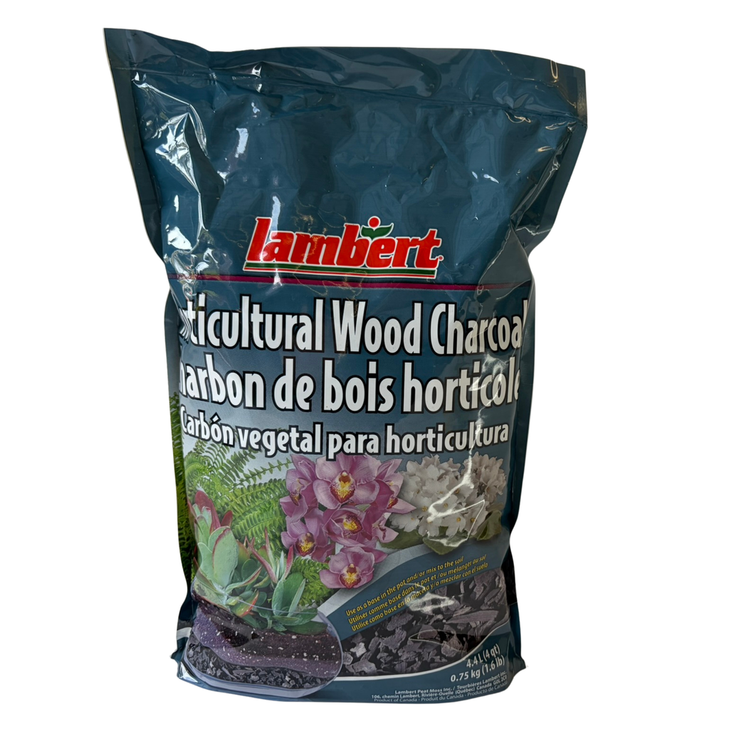 Lambert's Horticultural Charcoal | 4qt | Wood Charcoal for Orchids, Terrariums & Indoor Plants