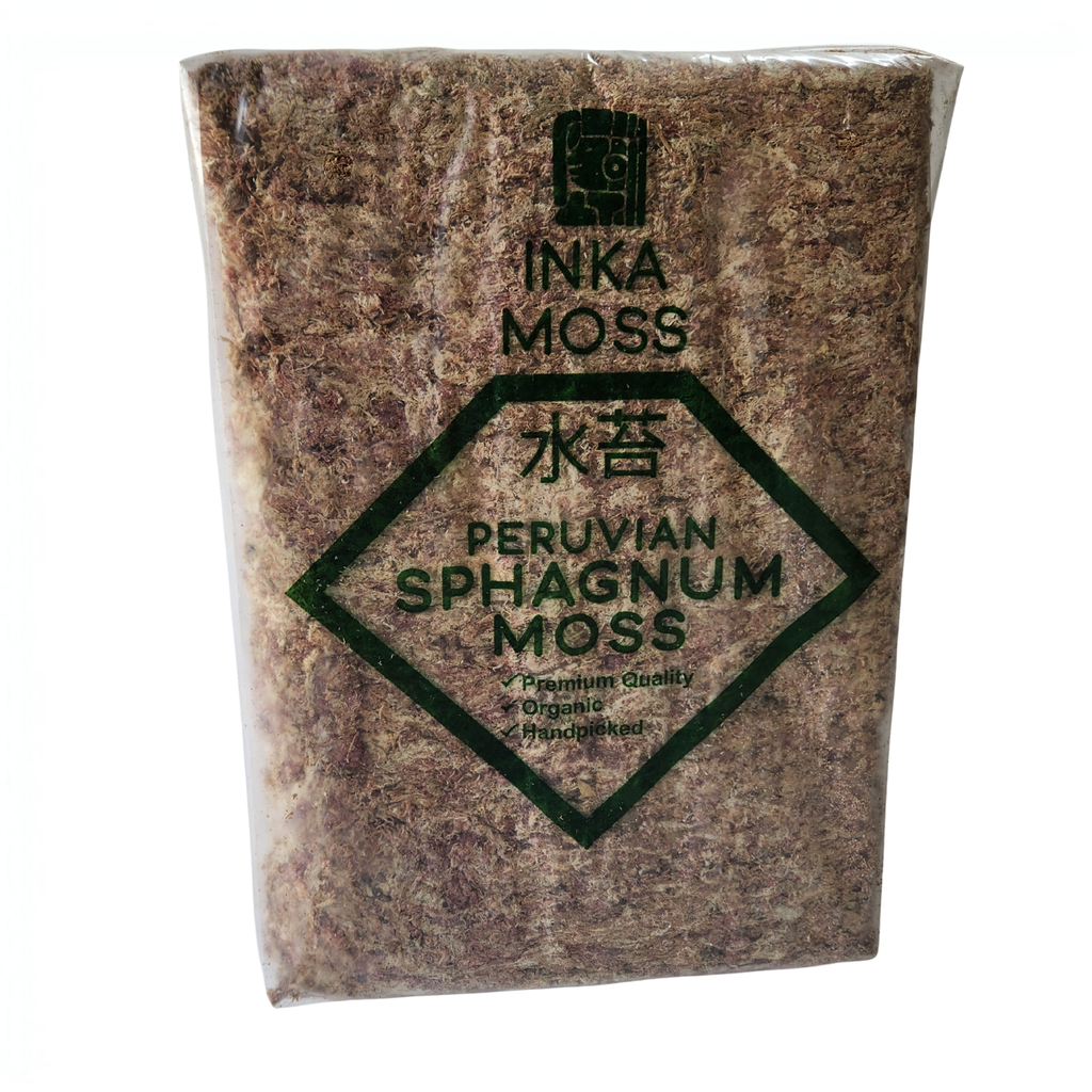 Sphagnum Moss 2A Grade | 5kg Bulk Bale | Long-Fiber Moss for Orchids & Commercial Growing
