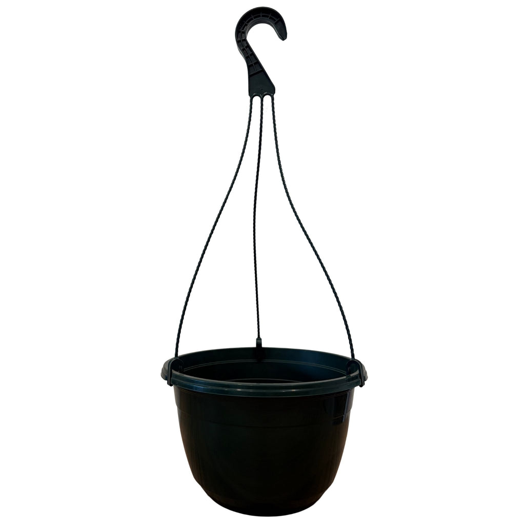 Green Hanging Basket with Hanger | 10"
