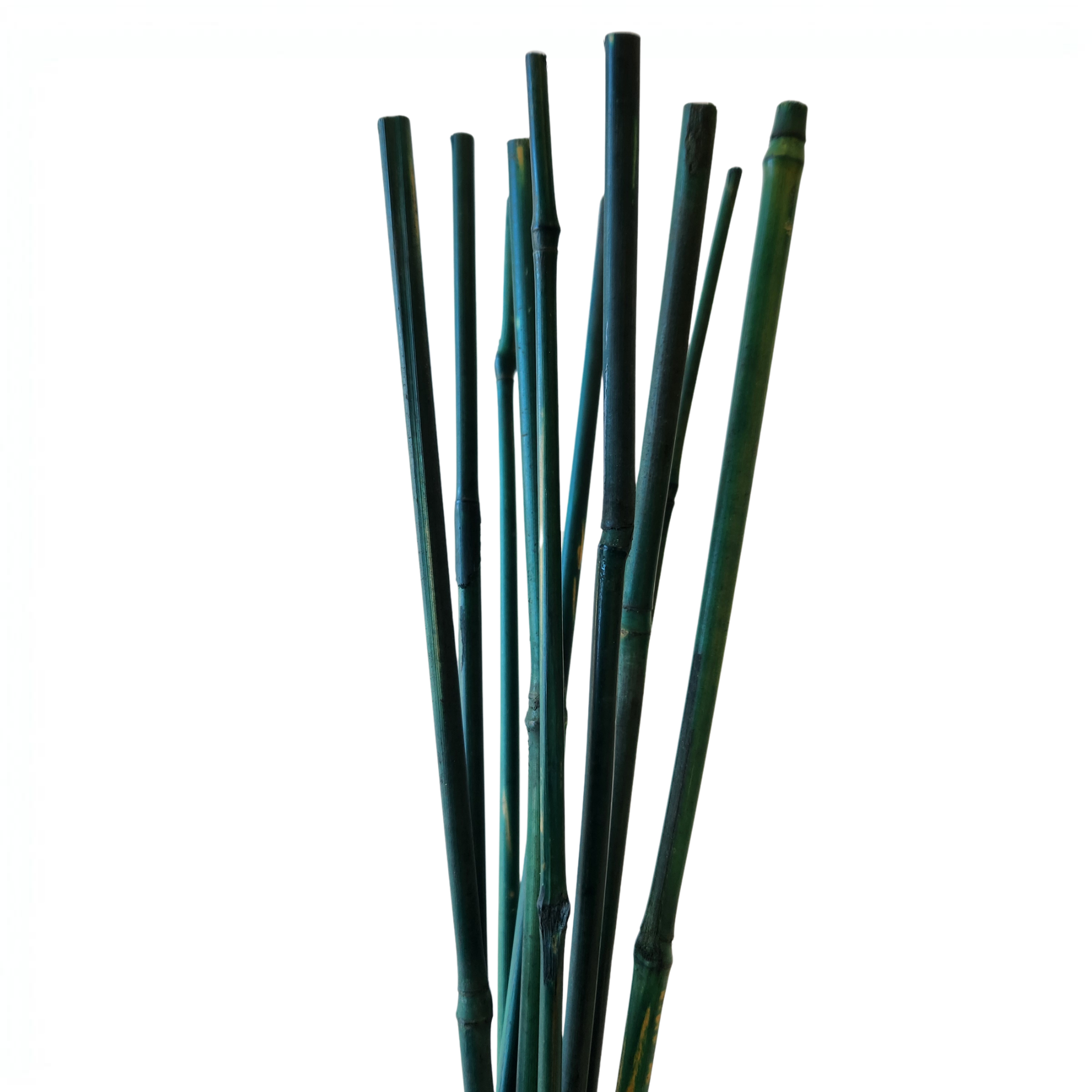 Green Bamboo Plant Stakes