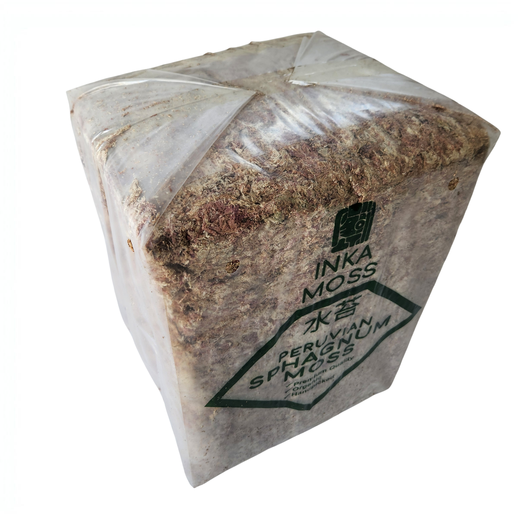 Sphagnum Moss 2A Grade | 5kg Bulk Bale | Long-Fiber Moss for Orchids & Commercial Growing
