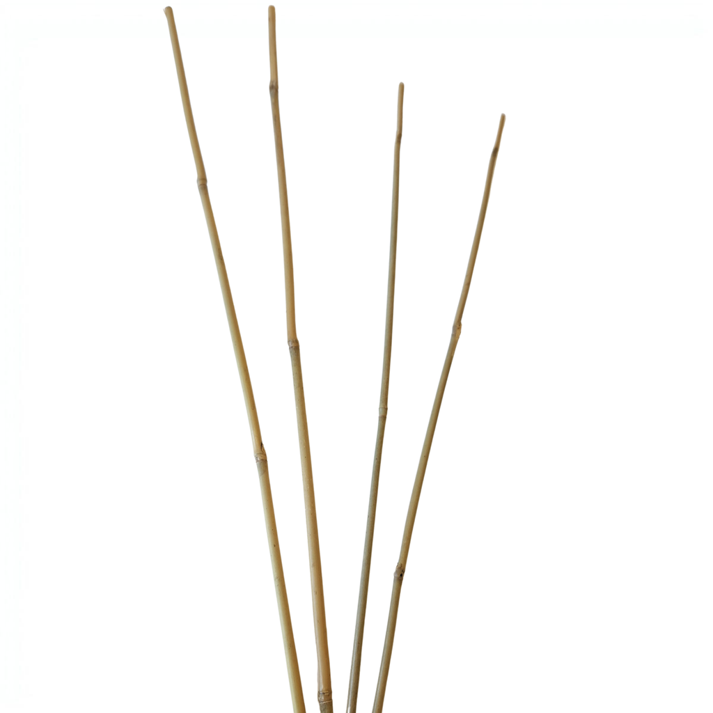 Natural Bamboo Plant Stakes
