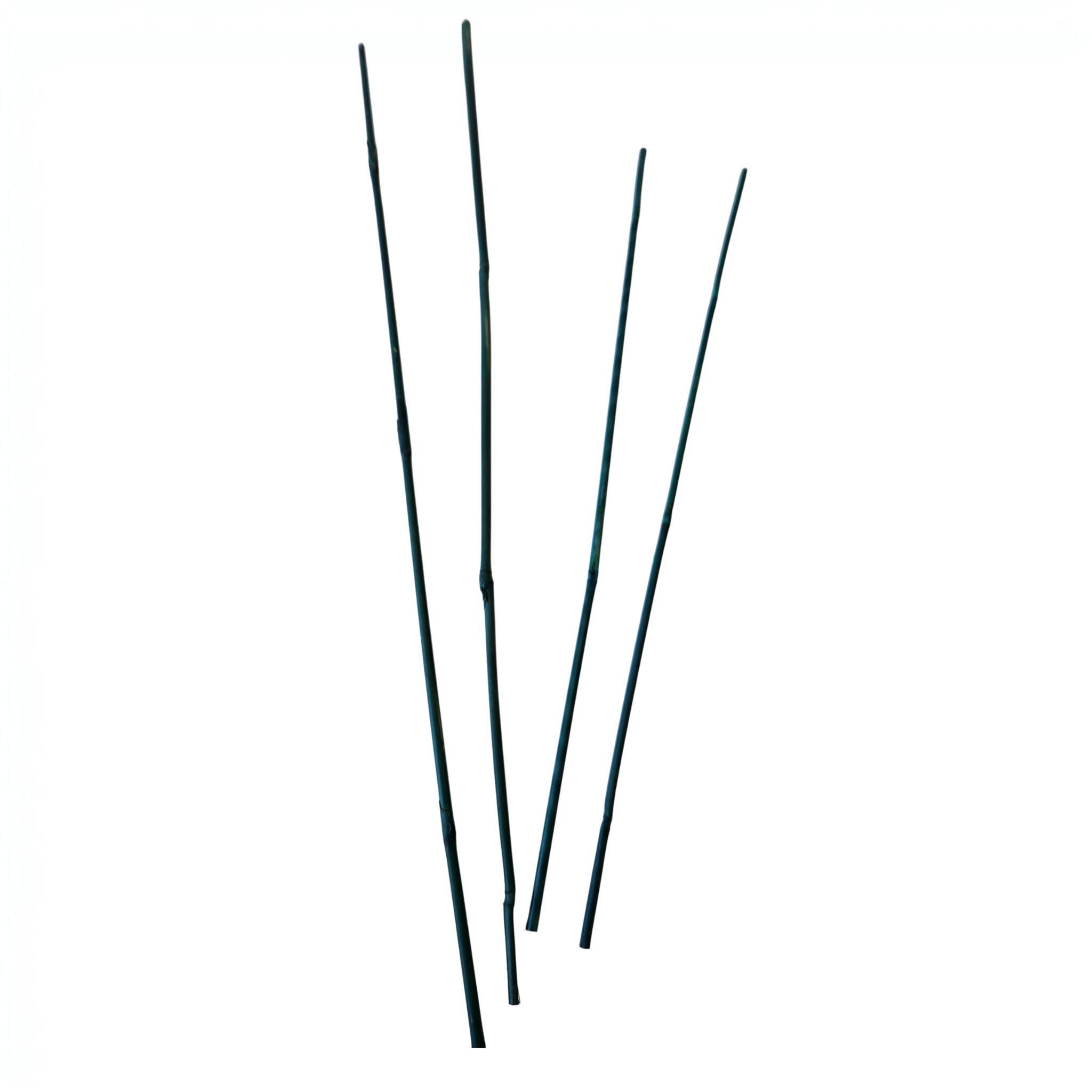 Green Bamboo Plant Stakes