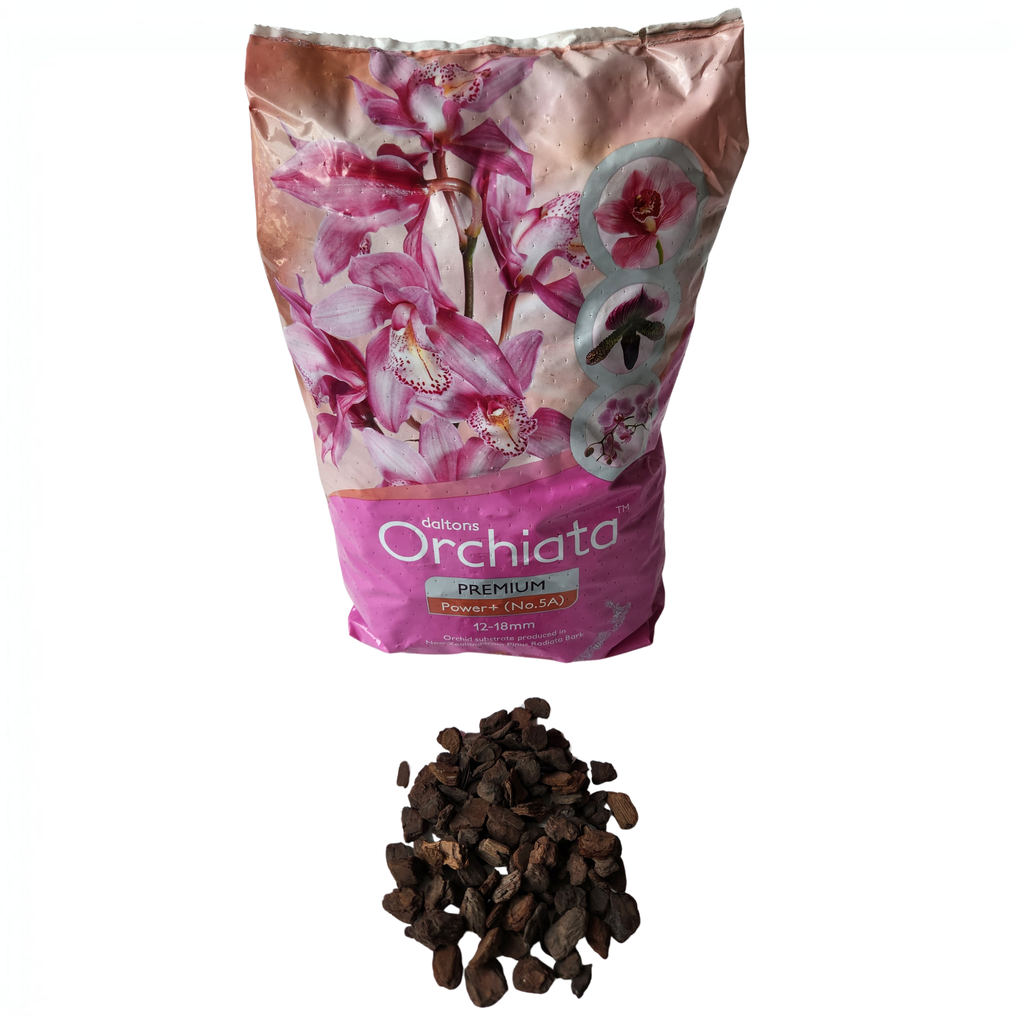 Orchiata Power Plus 5A Orchid Bark | 3/4" Chunky | 5L | New Zealand Pinus Radiata