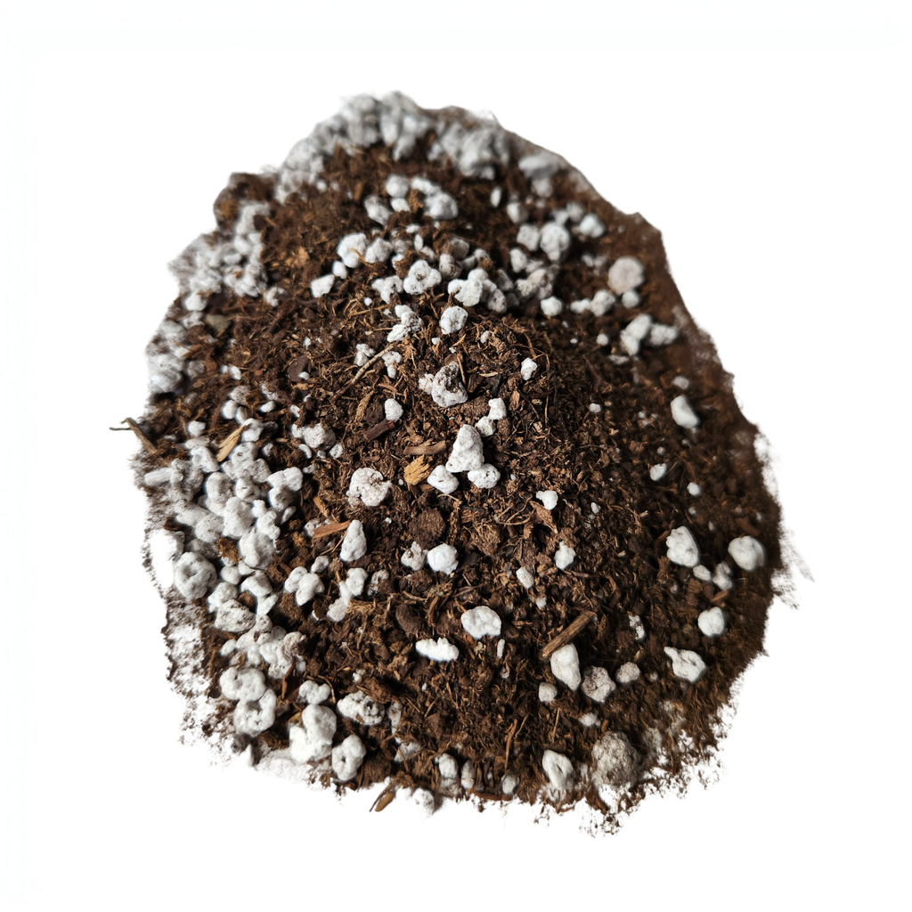 Lambert's Cactus & Succulent Potting Mix | 4qt | Fast-Draining Soil Blend