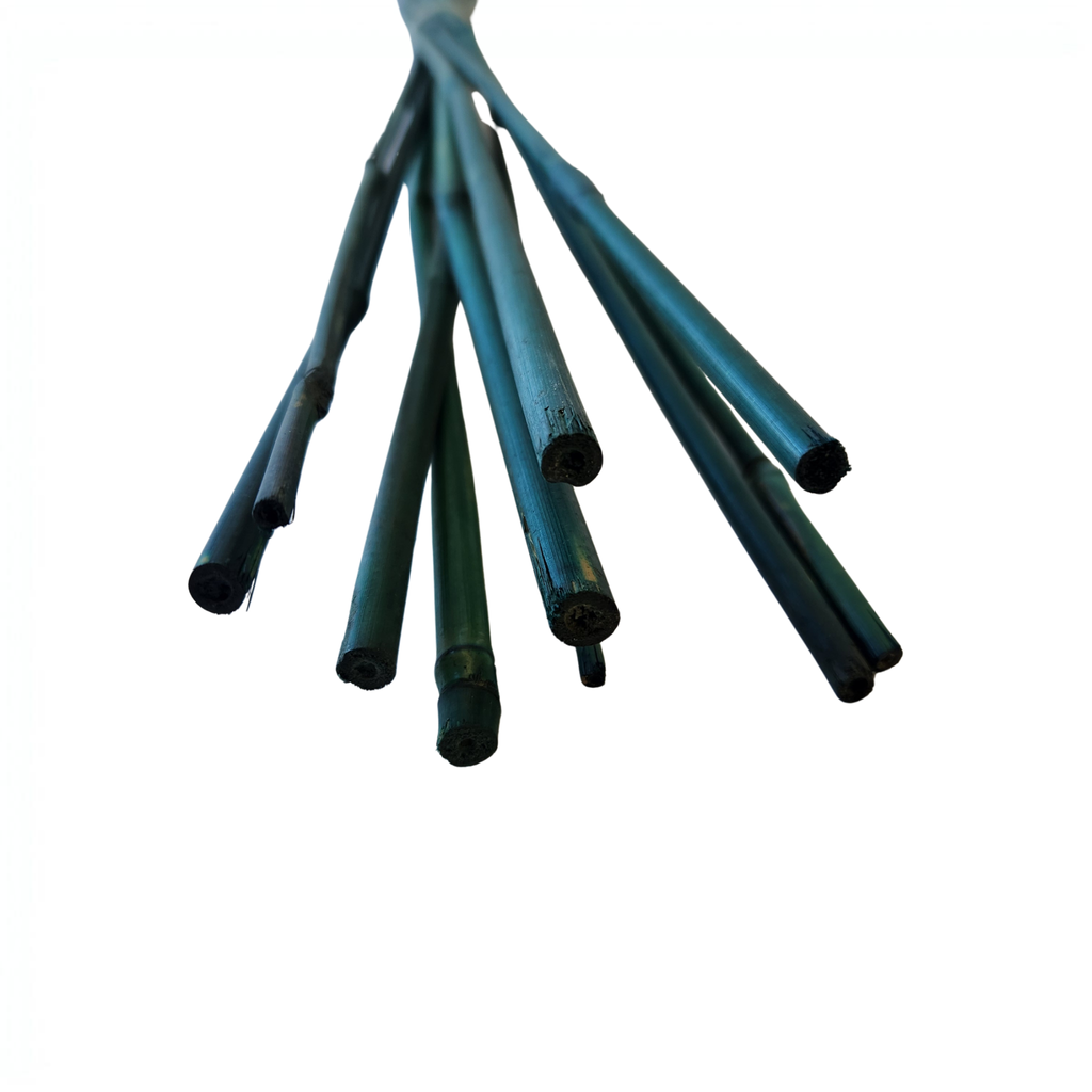 Green Bamboo Plant Stakes