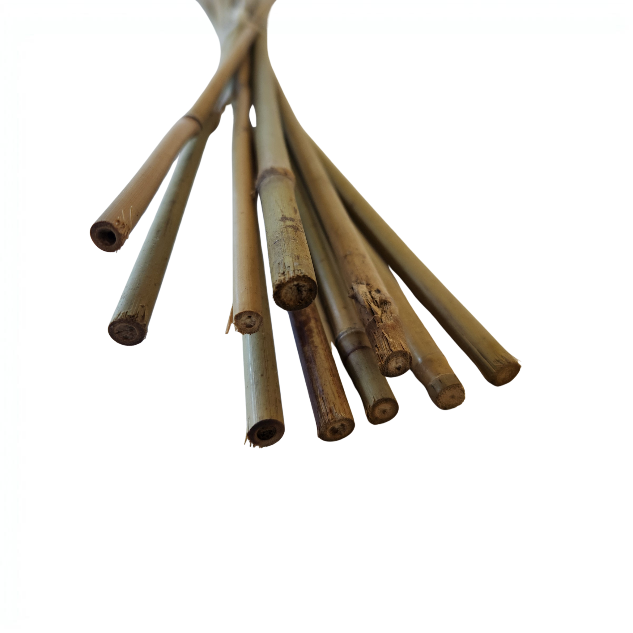 Natural Bamboo Plant Stakes