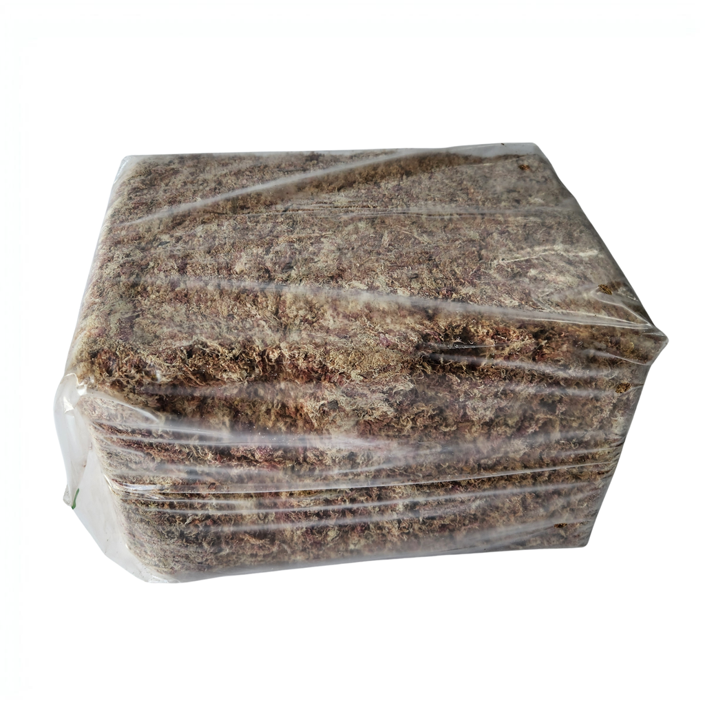 Sphagnum Moss 2A Grade | 5kg Bulk Bale | Long-Fiber Moss for Orchids & Commercial Growing