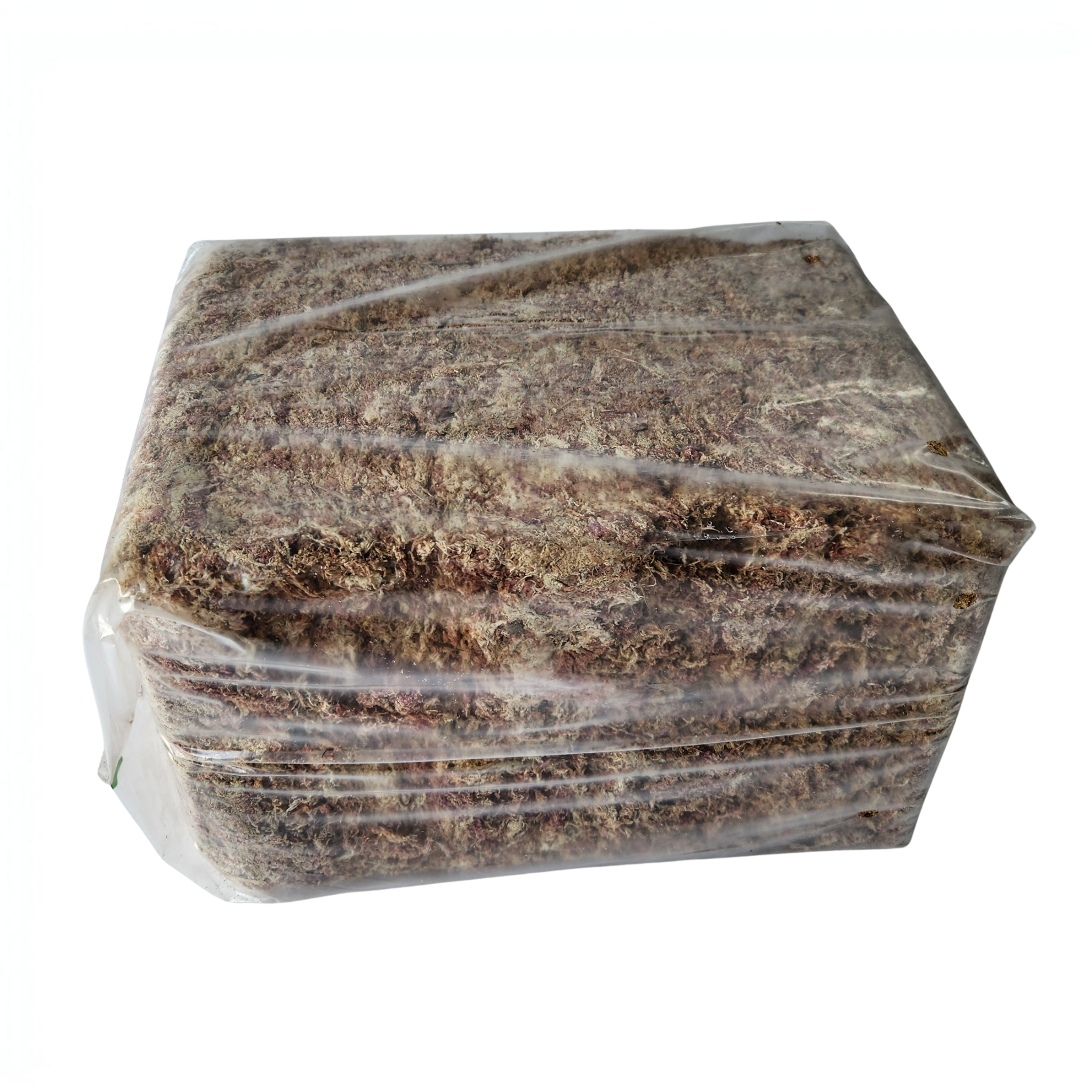 Sphagnum Moss 2A Grade | 5kg Bulk Bale | Long-Fiber Moss for Orchids & Commercial Growing