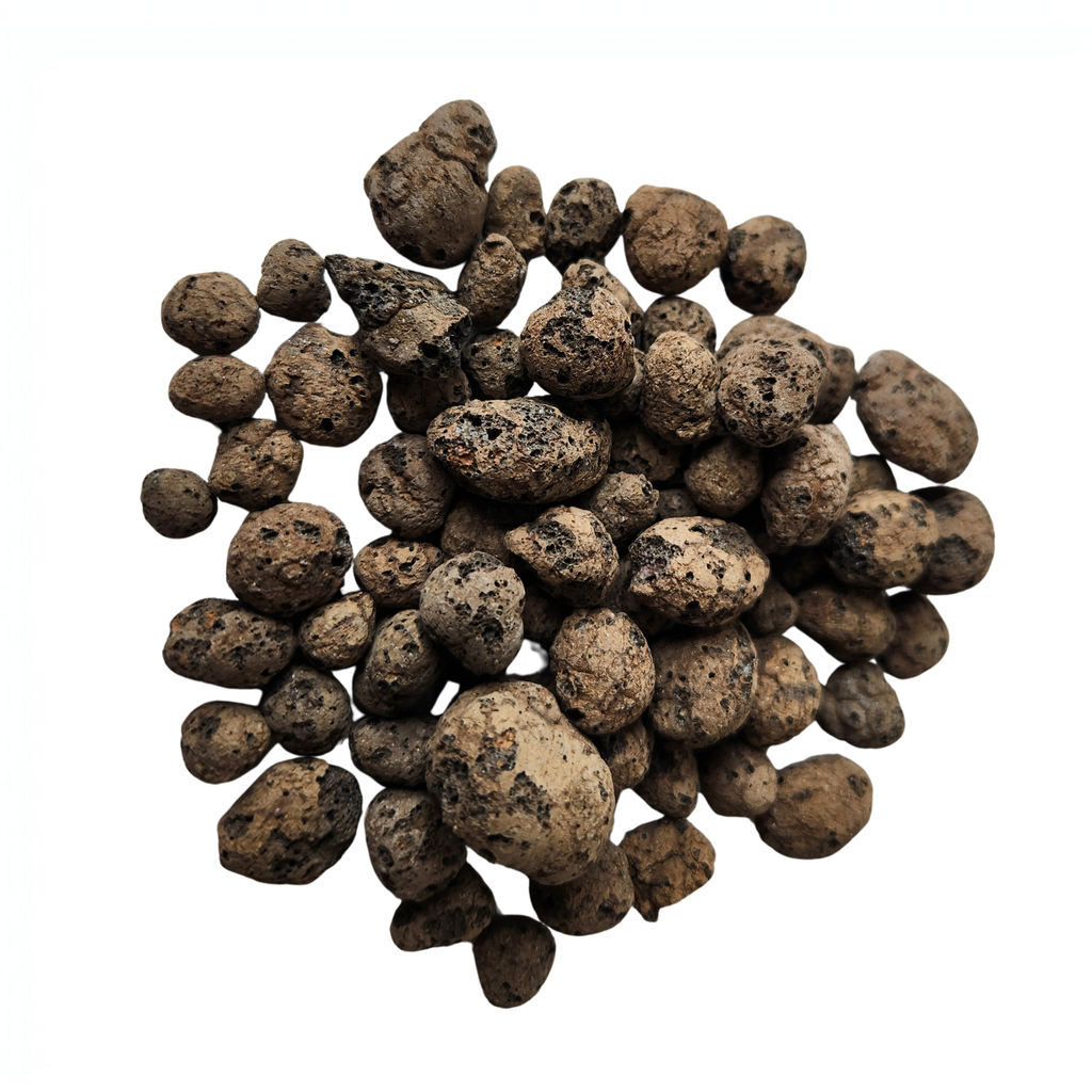 Clay Pebbles | 4-16mm | 10L Bag | Orchid & Hydroponic Growing Medium