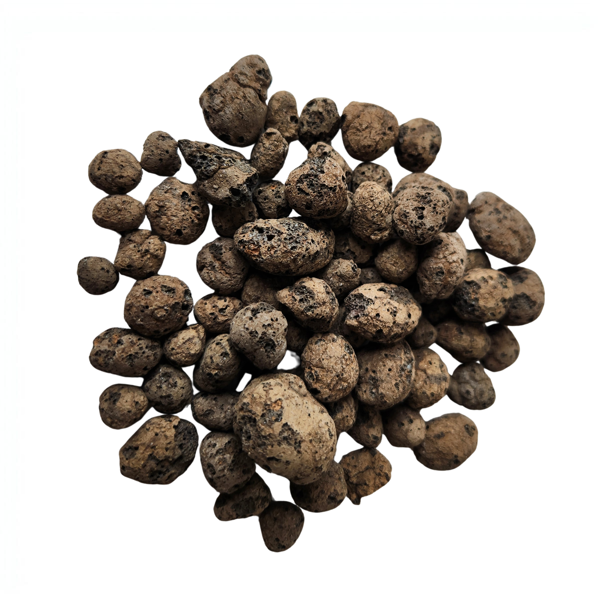 Clay Pebbles | 4-16mm | 10L Bag | Orchid & Hydroponic Growing Medium