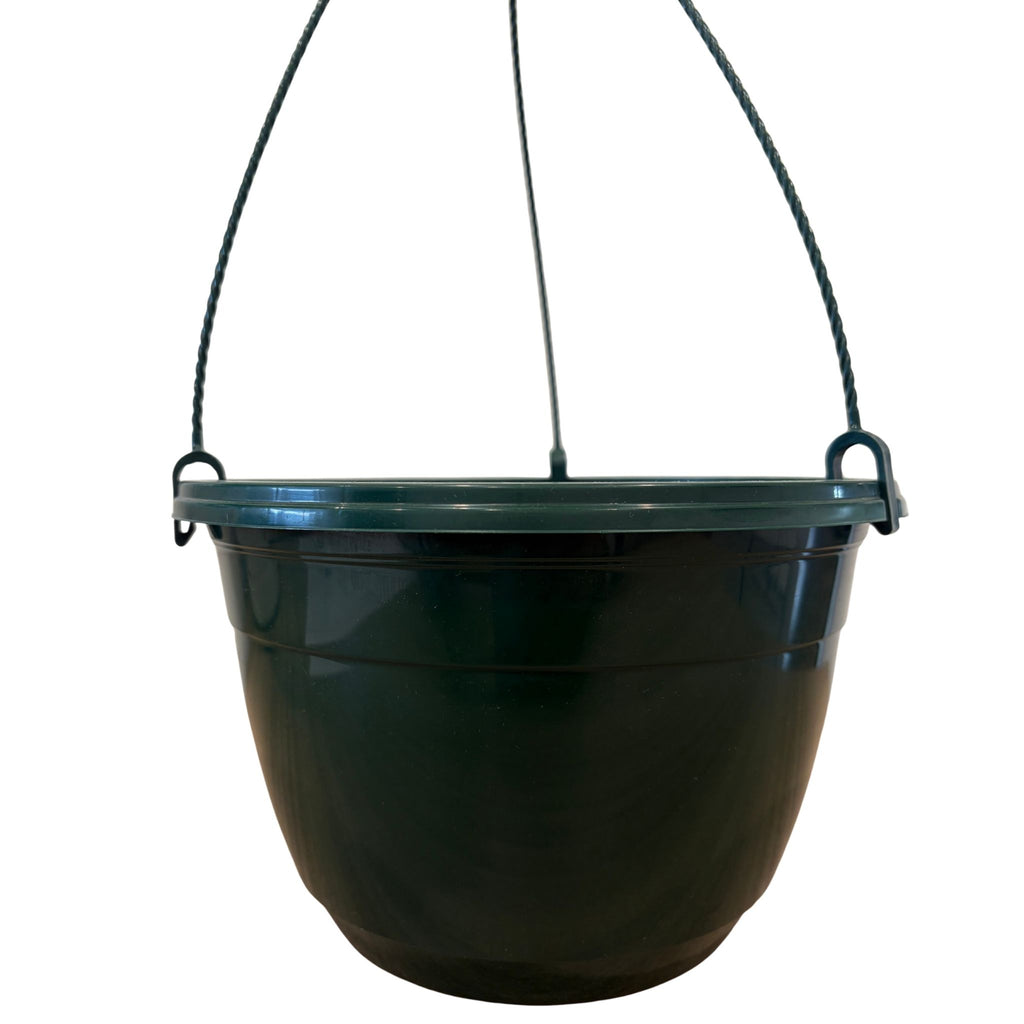 Green Hanging Basket with Hanger | 10"